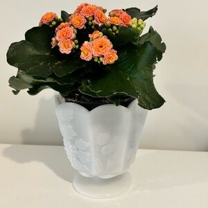 Vintage milk glass E.O. BRODY footed pedestal compote candy dish harvest grape